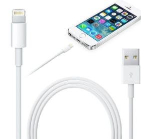1M iPad iPhone充電線 蘋果數據綫 差電 Apple充電線 Lightning to USB iPhone線 適用iPhone 13 12 11 Pro [平行進口]